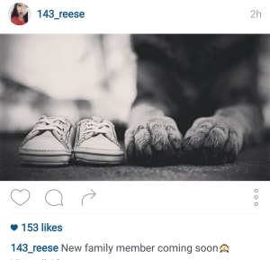 Ariel posts about a new addition to the family.